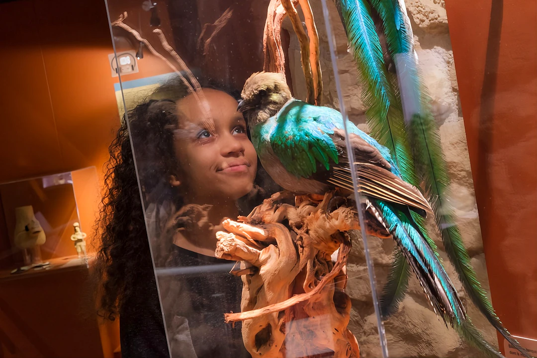 Chocolate Museum – Choco-Story Paris Ticket